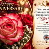 Best Companion Happy Anniversary Greeting Card