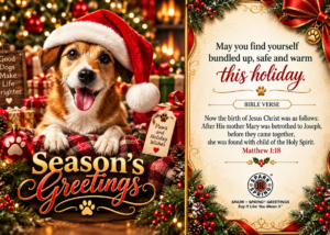 Spark + Spring virtual Greeting Card - Christmas