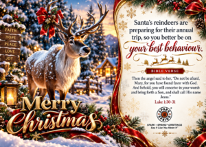 Spark + Spring virtual Greeting Card - Christmas