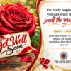 Spark + Spring virtual Greeting Card - Get Well Soon