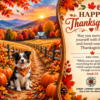 Spark + Spring virtual Greeting Card - Happy Thanksgiving